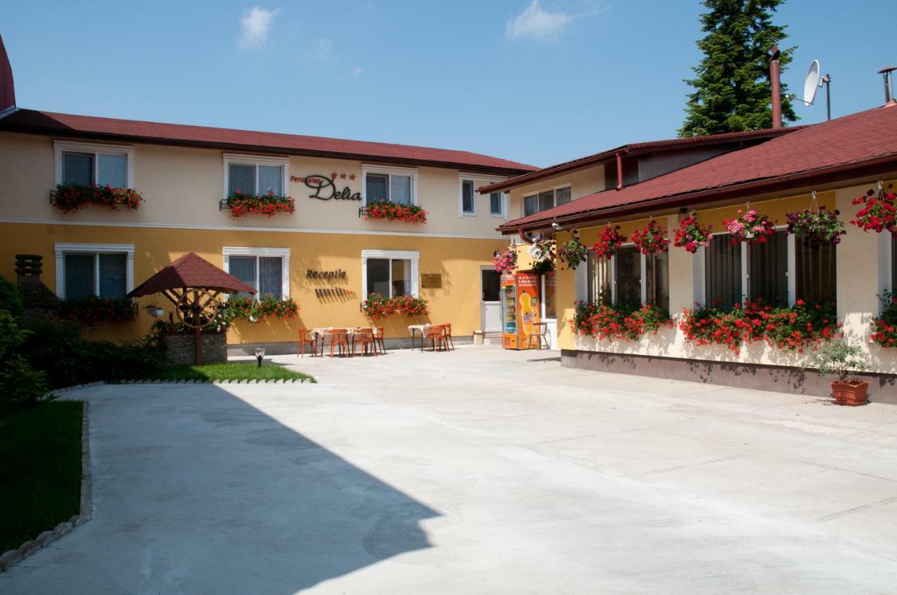 Pension Delia Gardens Timisoara Exterior foto