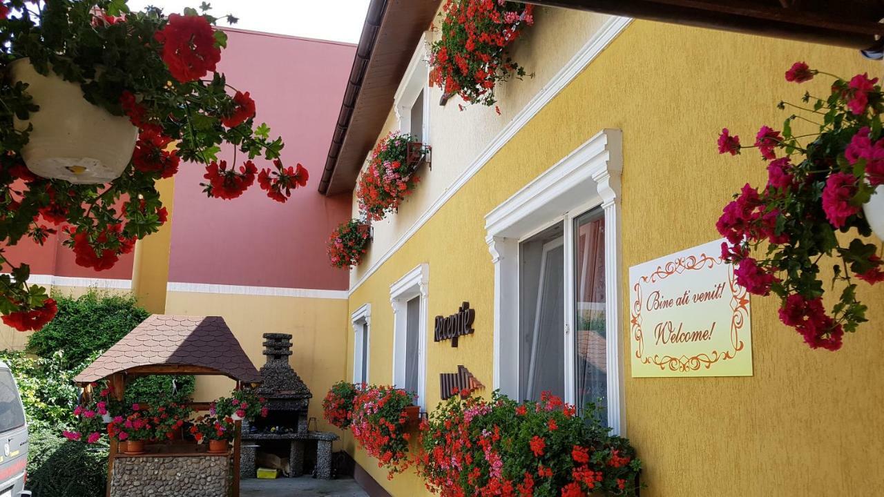 Pension Delia Gardens Timisoara Exterior foto