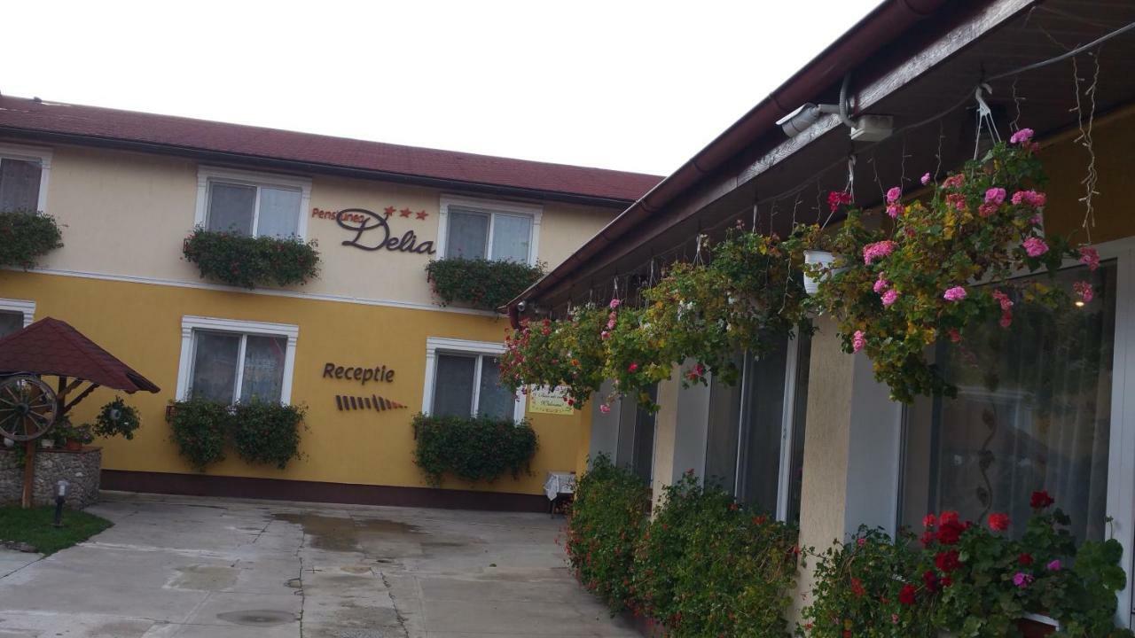 Pension Delia Gardens Timisoara Exterior foto